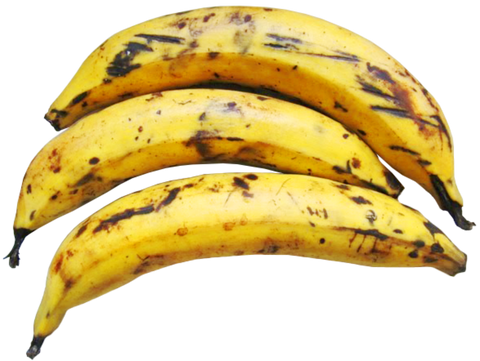 Plantain bananas